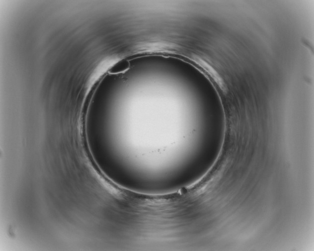 X0000096431285200801241330