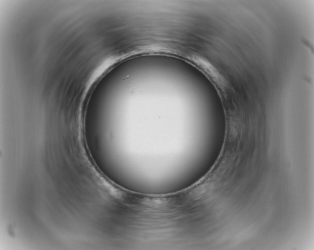 X0000096431286200801241330