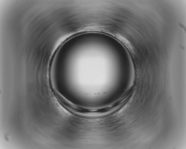X0000096431288200801241330