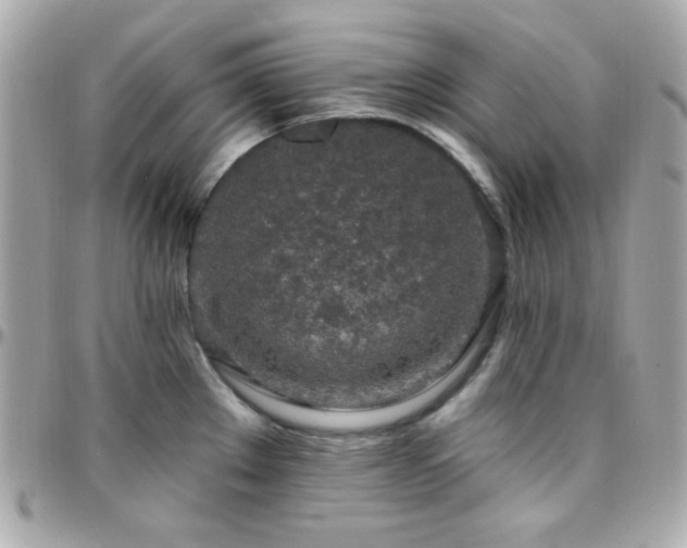 X0000096431289200801241330