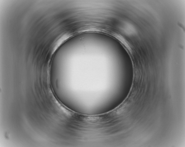 X0000096431290200801241330