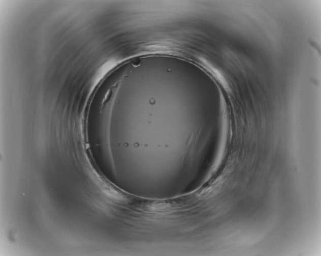 X0000096431291200801241330