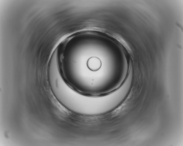 X0000096431292200801241330