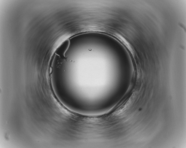 X0000096431293200801241330