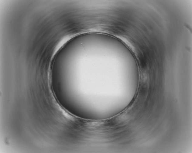 X0000096431294200801241330