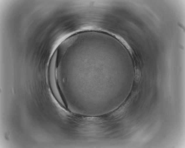 X0000096431295200801241330