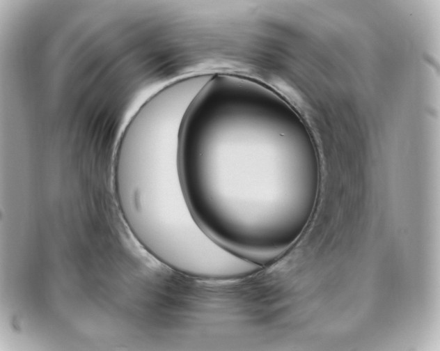 X0000096431296200801241330