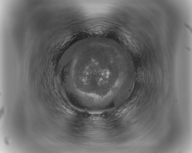 X0000096431297200801241330