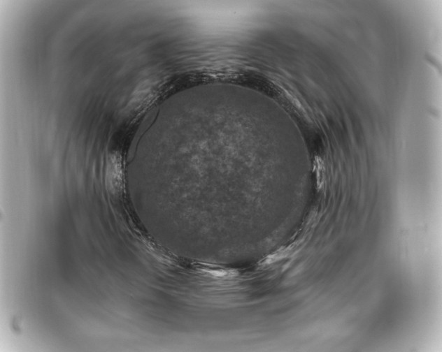 X0000096431298200801241330