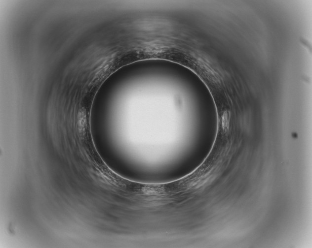X0000096431299200801241330