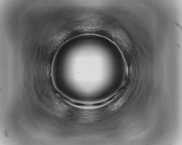 X0000096431300200801241330