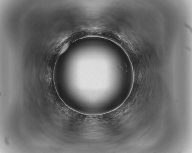 X0000096431301200801241330