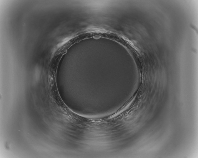 X0000096431303200801241330