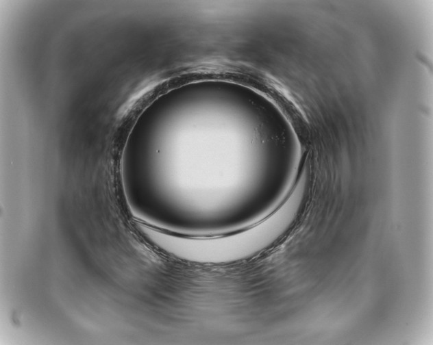 X0000096431304200801241330
