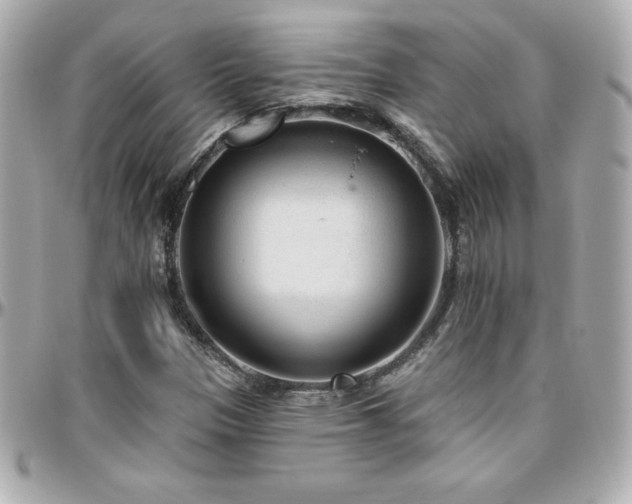 X0000096431305200801241330