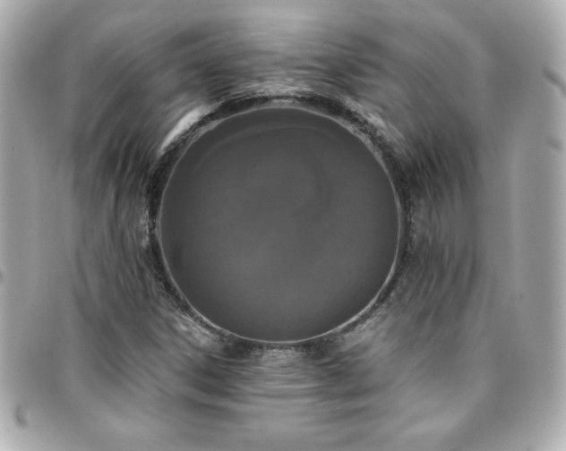 X0000096431306200801241330