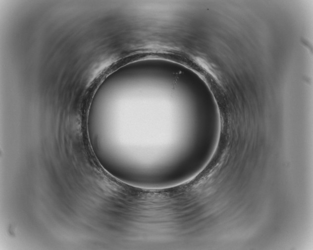 X0000096431307200801241330