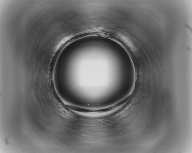 X0000096431308200801241330