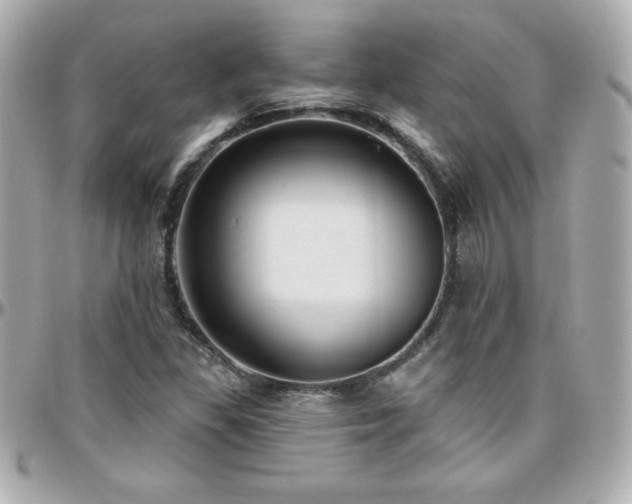 X0000096431309200801241330