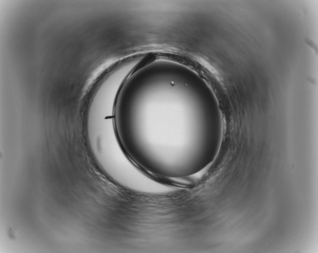 X0000096431310200801241330