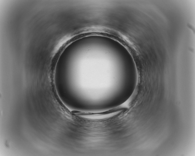 X0000096431312200801241330
