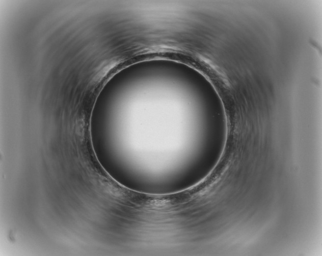 X0000096431313200801241330