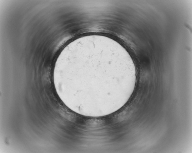 X0000096431314200801241330