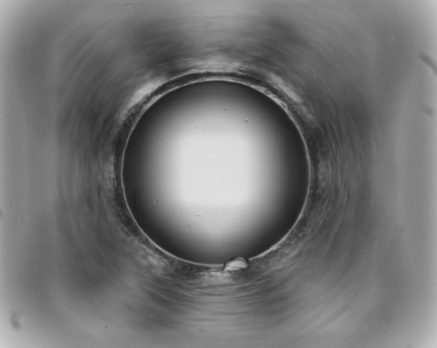 X0000096431315200801241330