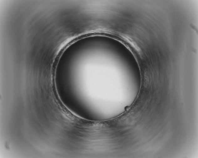 X0000096431316200801241330