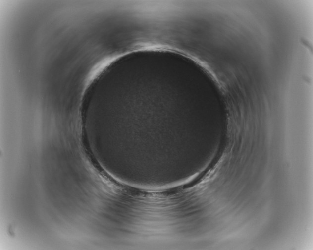 X0000096431319200801241330