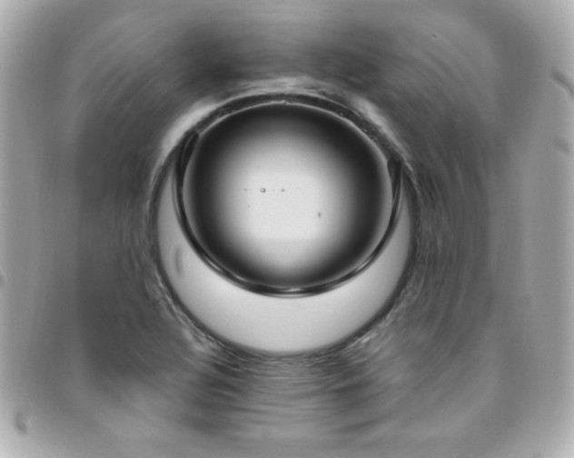X0000096431320200801241330