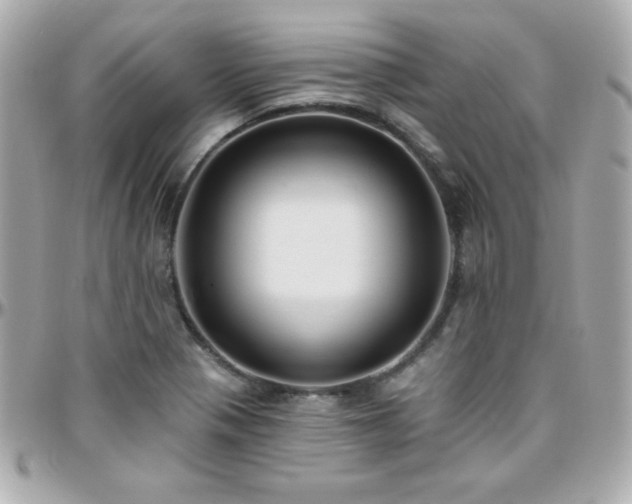 X0000096431321200801241330