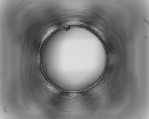 X0000096431322200801241330