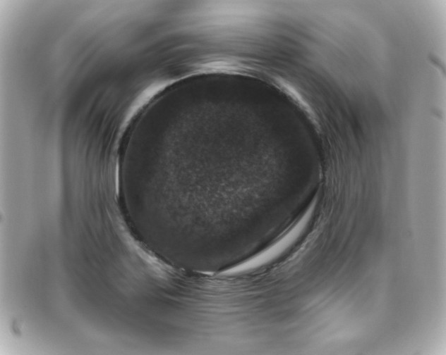X0000096431323200801241330