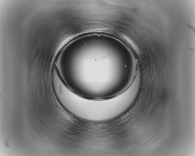 X0000096431324200801241330