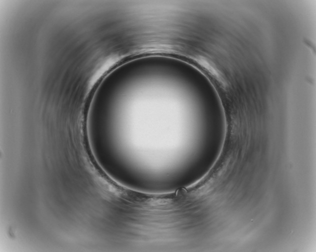 X0000096431325200801241330