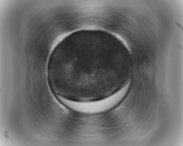 X0000096431327200801241330