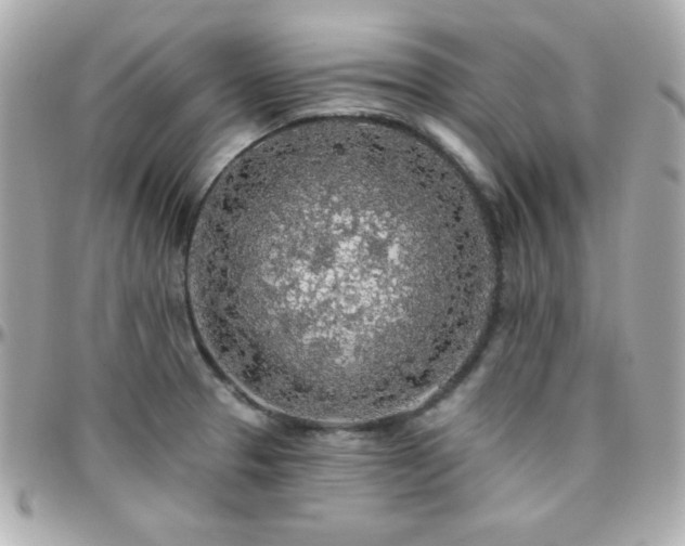 X0000096431329200801241330