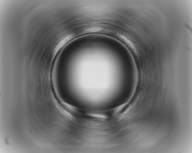 X0000096431330200801241330