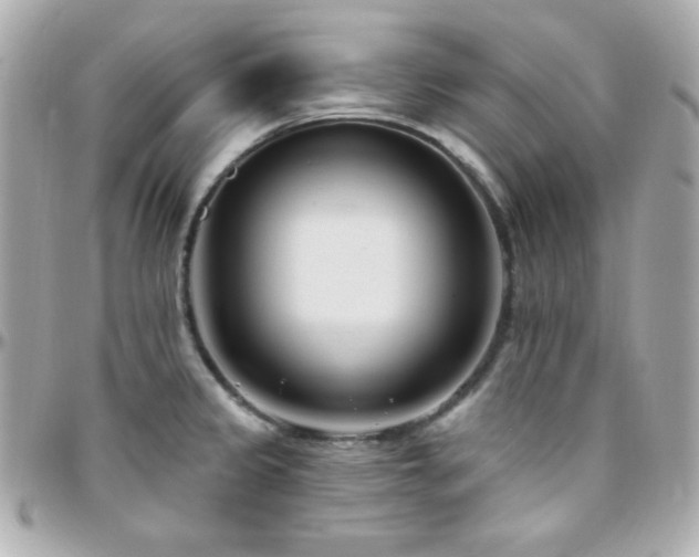 X0000096431333200801241330