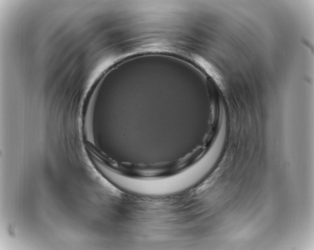 X0000096431334200801241330