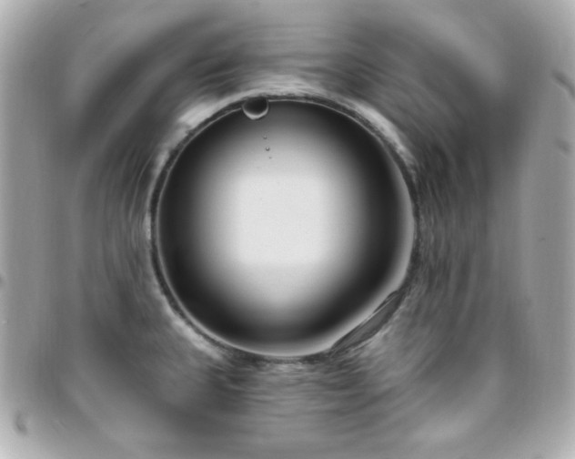 X0000096431335200801241330