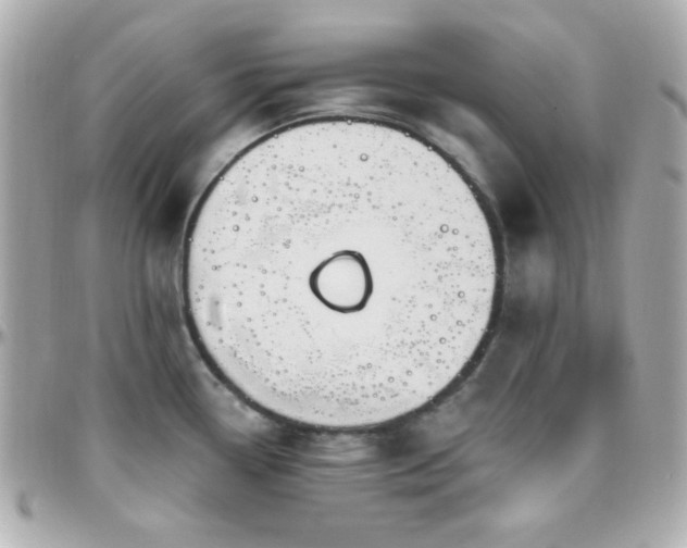 X0000096431338200801241330