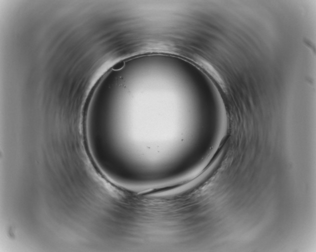 X0000096431339200801241330