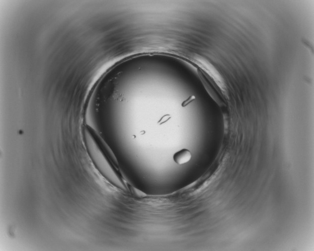 X0000096431340200801241330