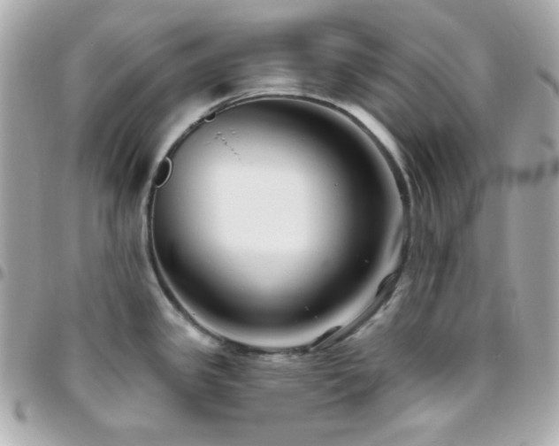 X0000096431341200801241330