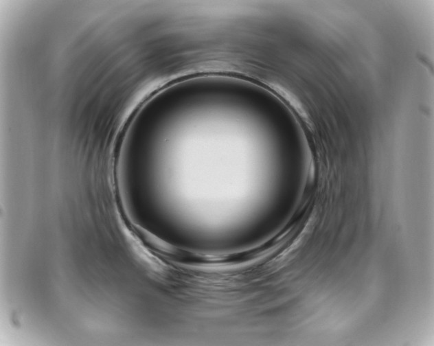 X0000096431342200801241330