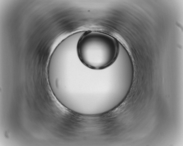 X0000096431344200801241330