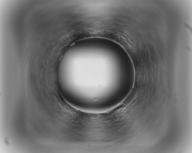 X0000096431345200801241330