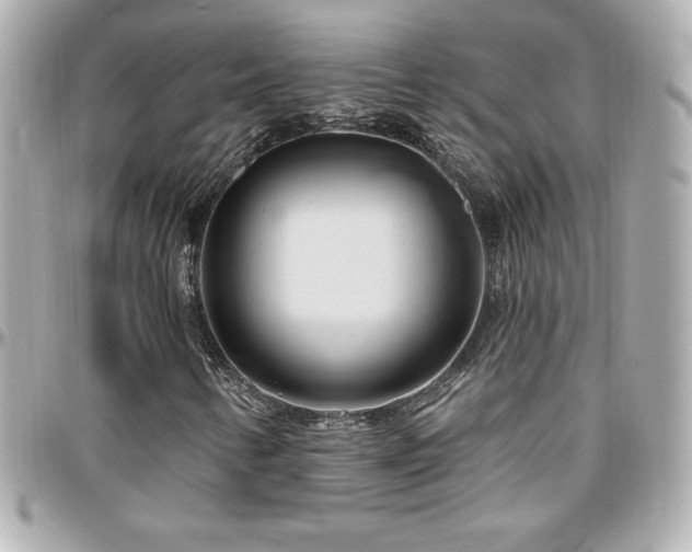 X0000096431346200801241329